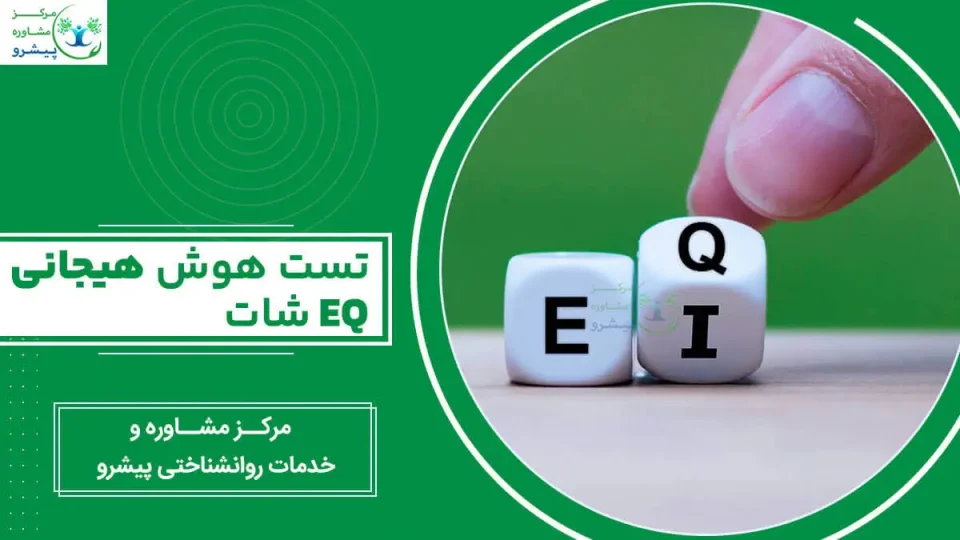 تست هوش هیجانی EQ شات